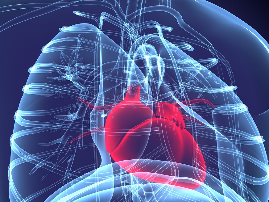Cardiologia Avanzata - Specializzazione in cardiologia